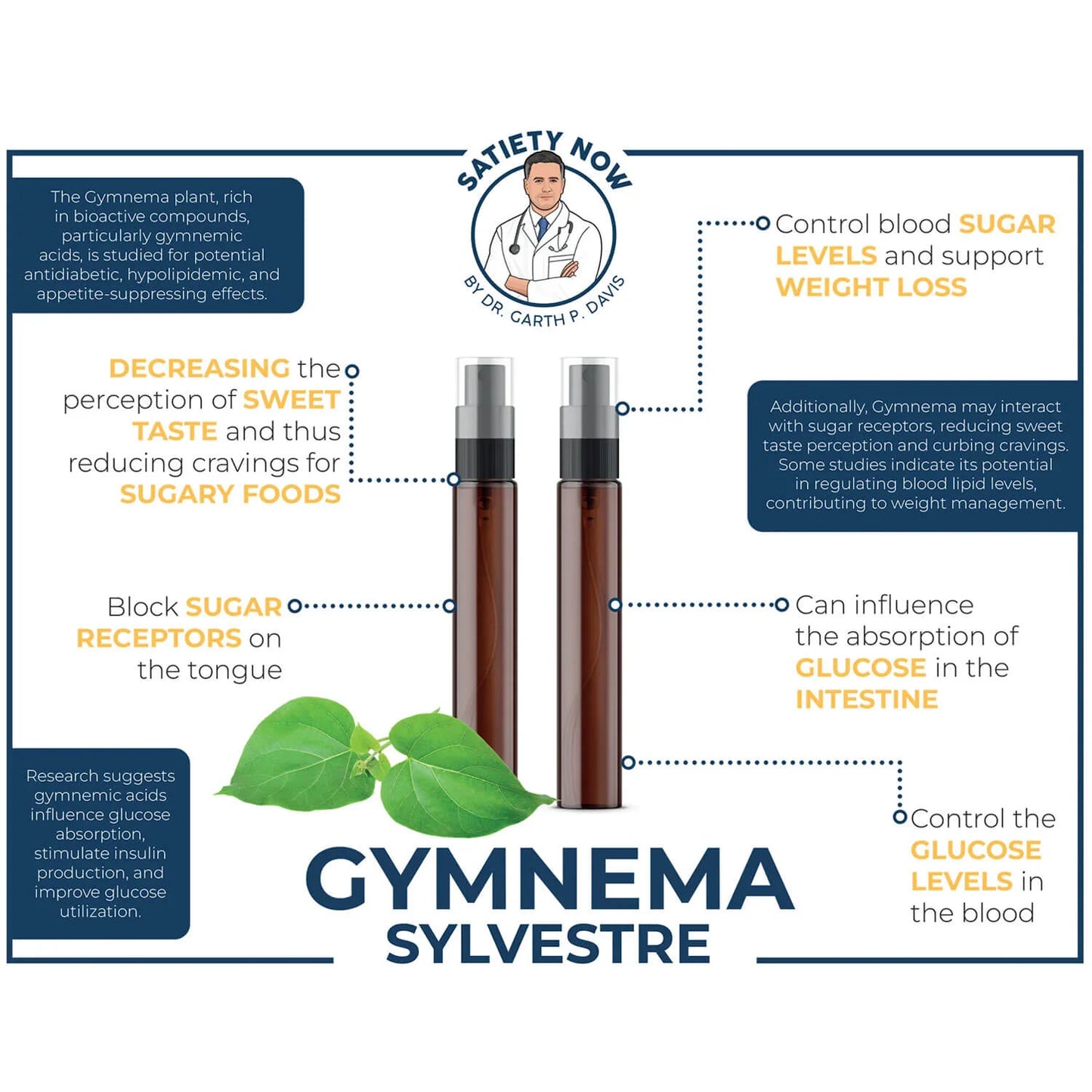 2-PACK SATIETY NOW GYMNEMA TINCTURE